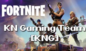 Fortnite Team