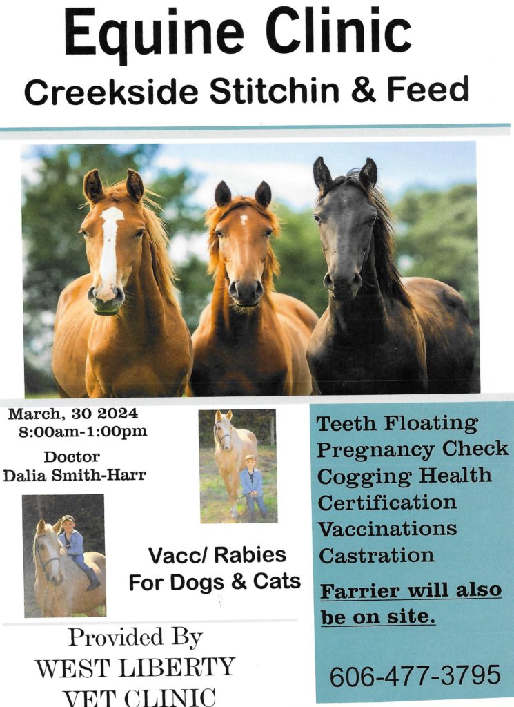 equine clinic eastern kentucky salyersville magoffin horses