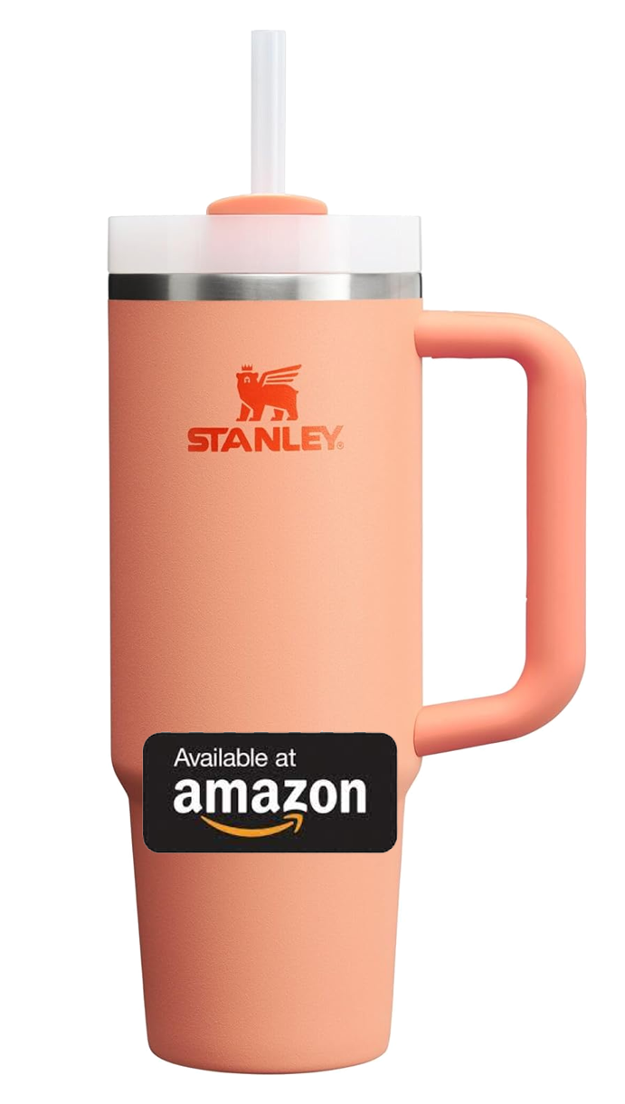 Stanley Cup Amazon